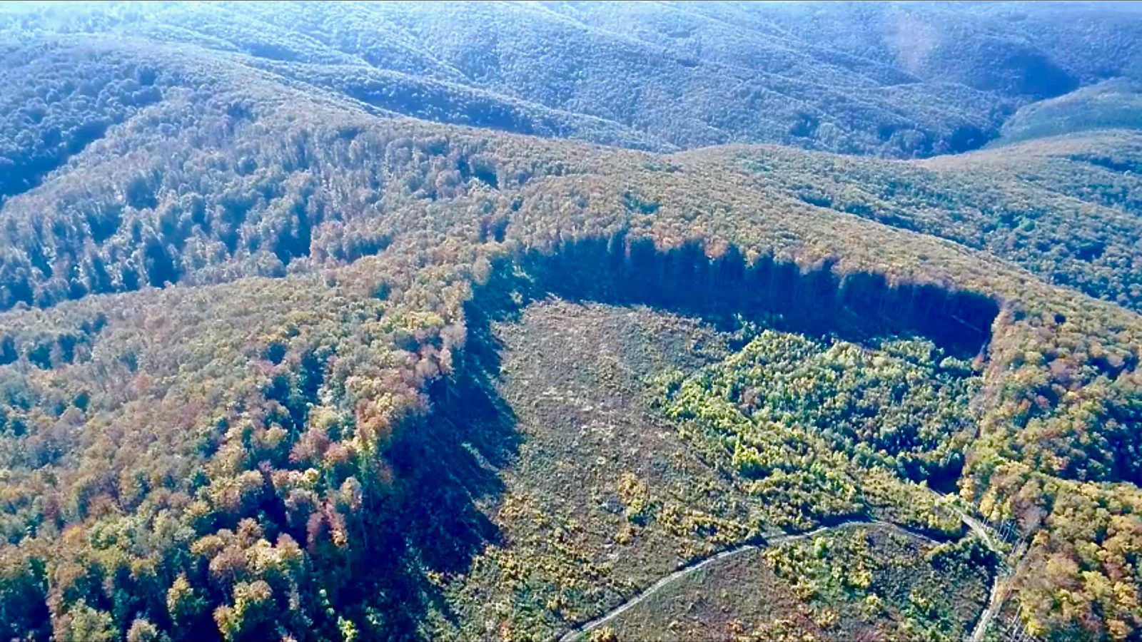 Drone video leads to illegal logging investigation in Romanian National Park
