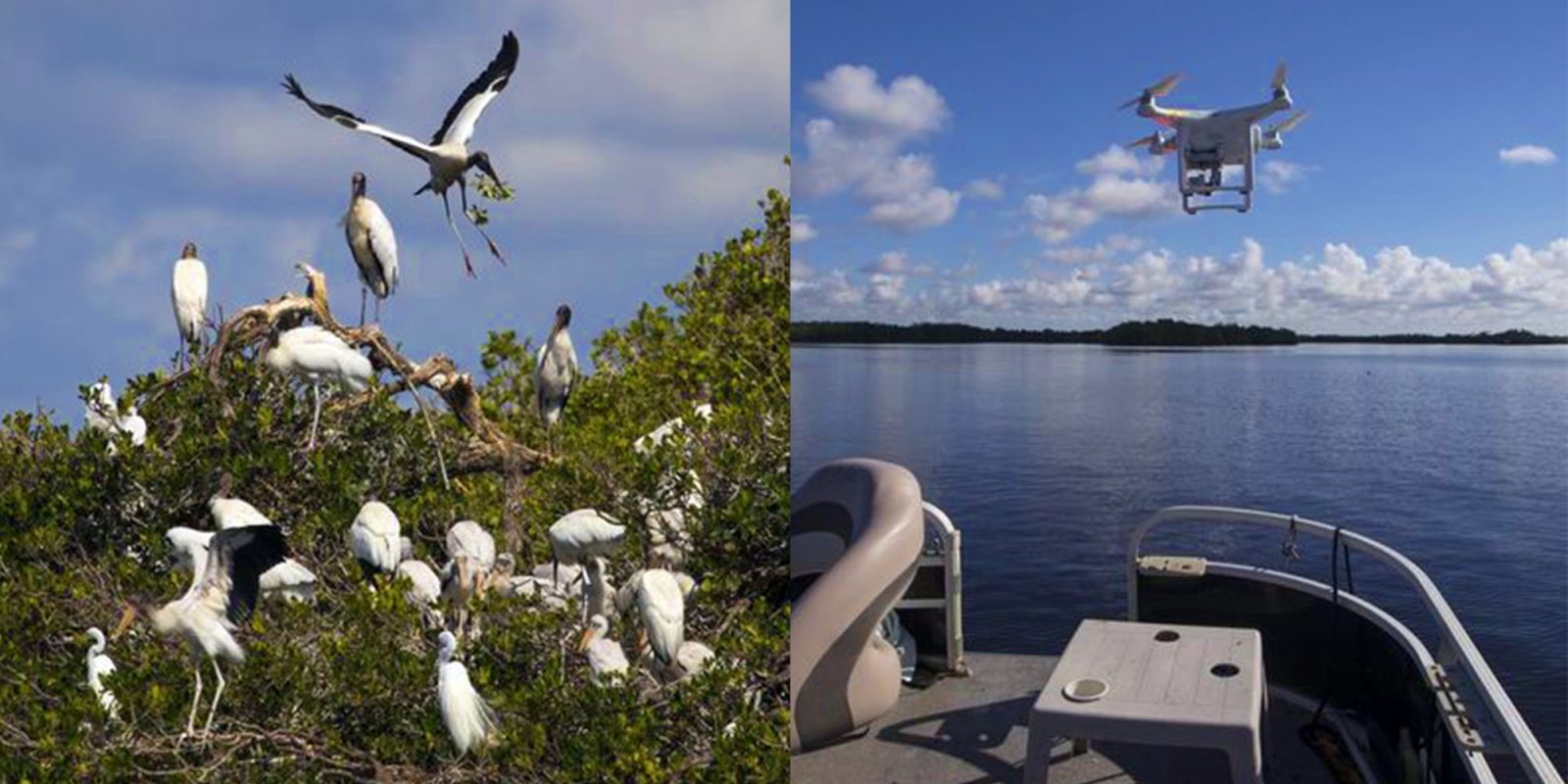 Drone used to study rookery on little Lenore Island, on the Caloosahatchee River in Florida.