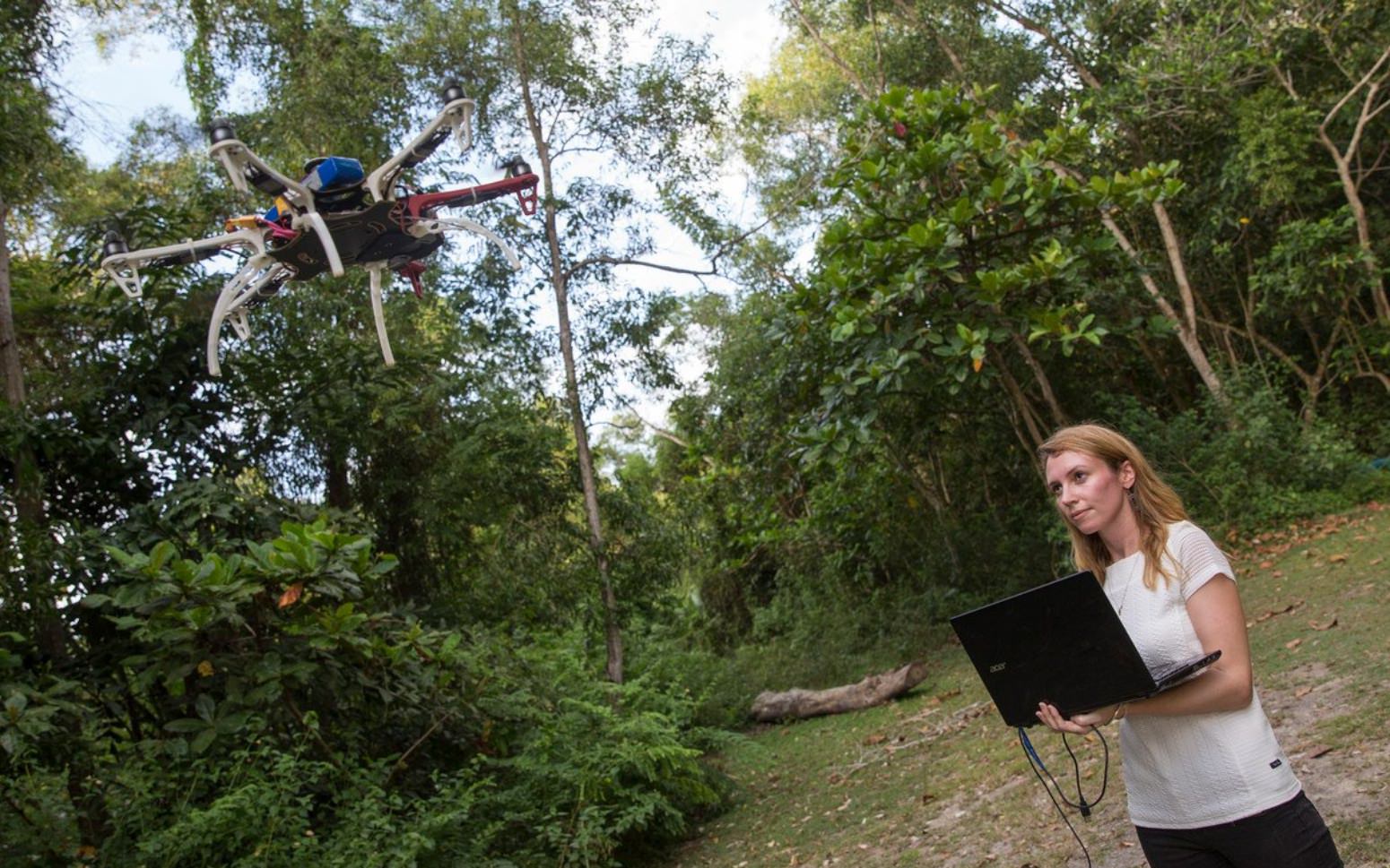 Drones are an integral part in fight against deadly malaria spread by monkeys in Malaysia