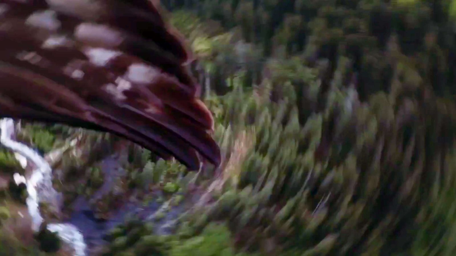 Eagle grabs drone mid-flight in the Swiss Alps! [video]