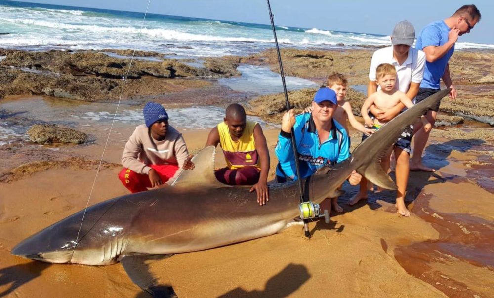 Drone fishermen are catching massive sharks by getting the bait as far as 1,000 feet away from the beach