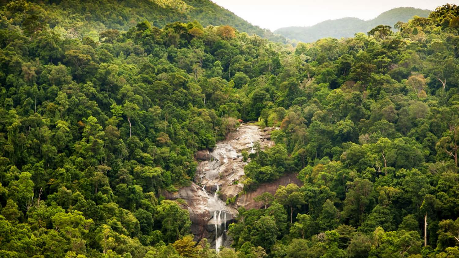 Drone helps find a missing woman in Malaysian jungle