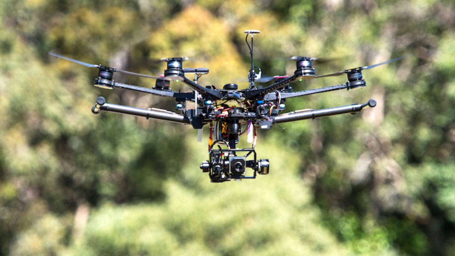 Koala-spotting drones outperform human experts