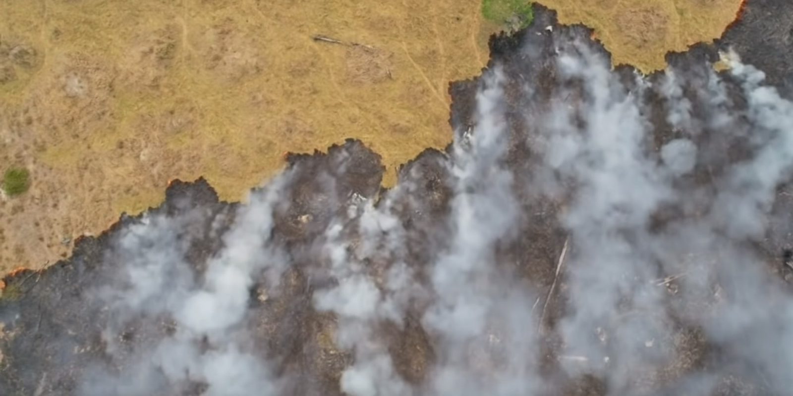 Drone video amazon rain forest fire