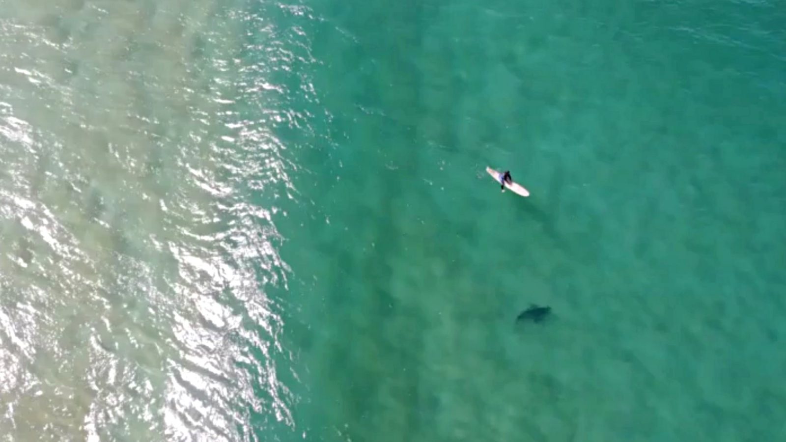 Drone pilot uses Mavic 2 Enterprise to warn surfer of approaching shark