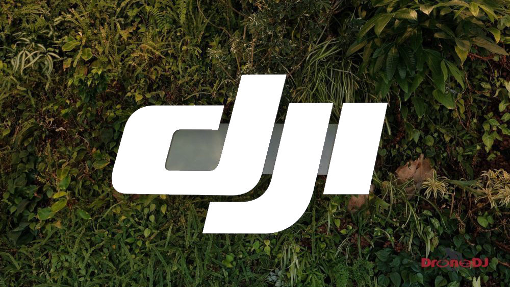 Finally, DJI is facing some serious competition from Autel Robotics and Skydio