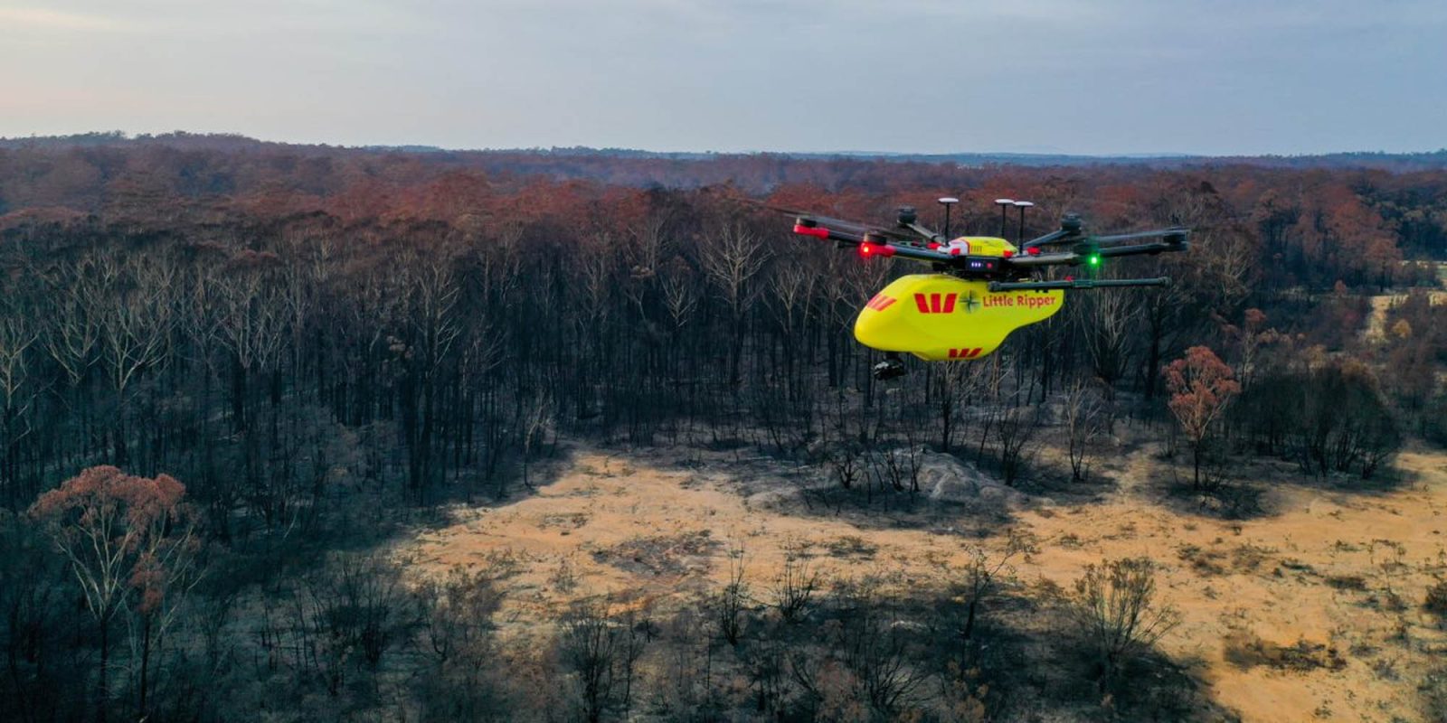 drones Australian bushfires wildlife