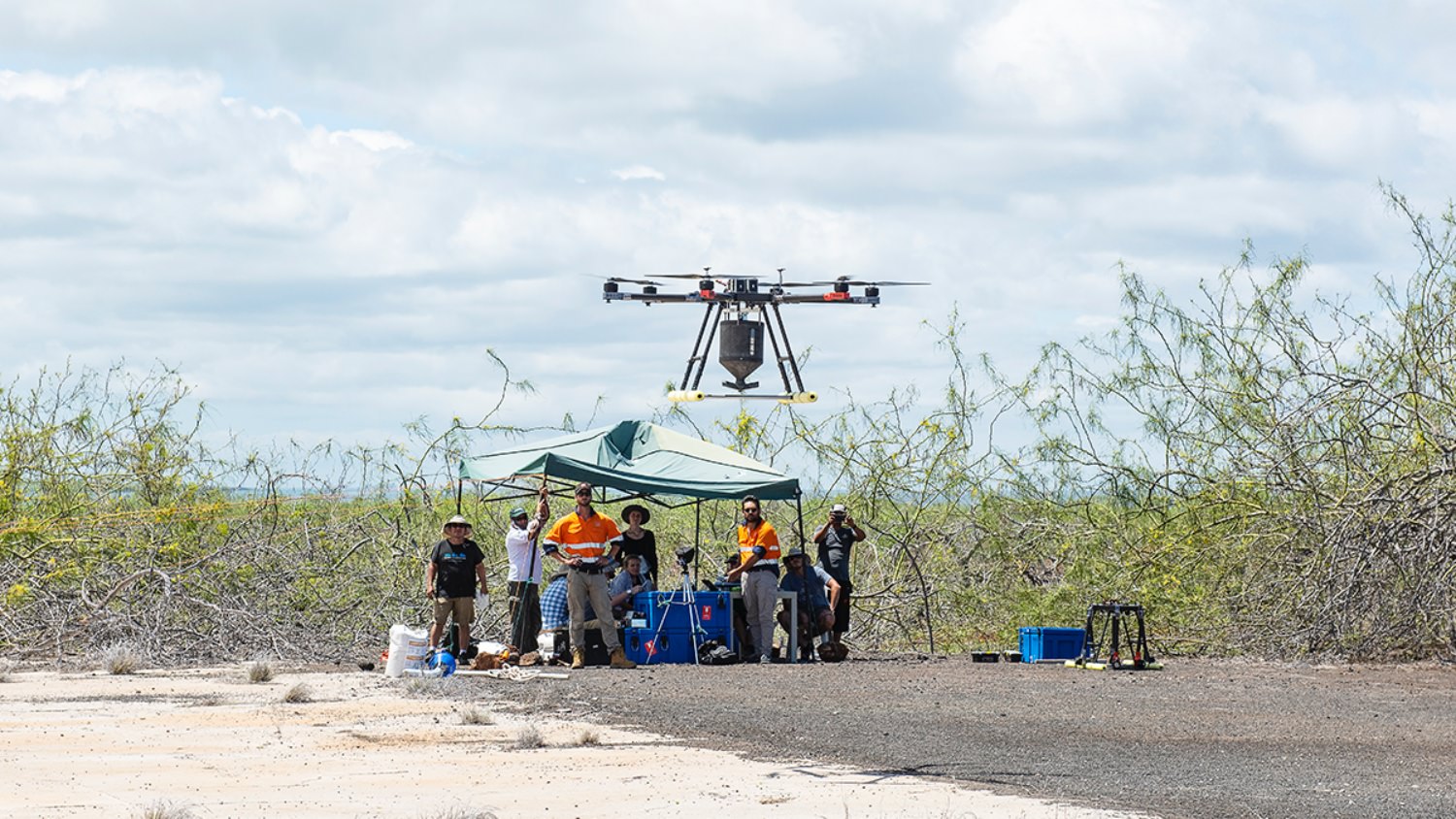 Poison-laden drones hunt invasive pests in New Zealand wilderness