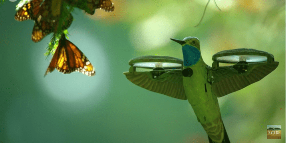 drone hummingbird
