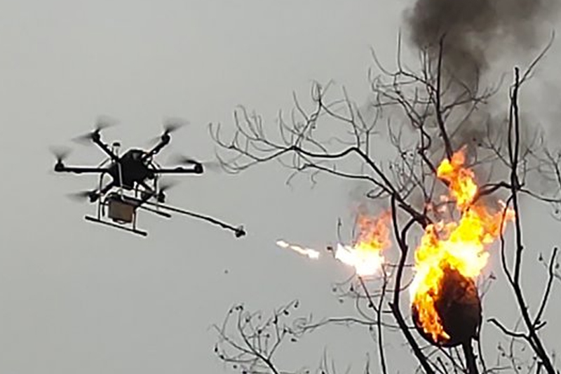 Flamethrowing drone torches hornets