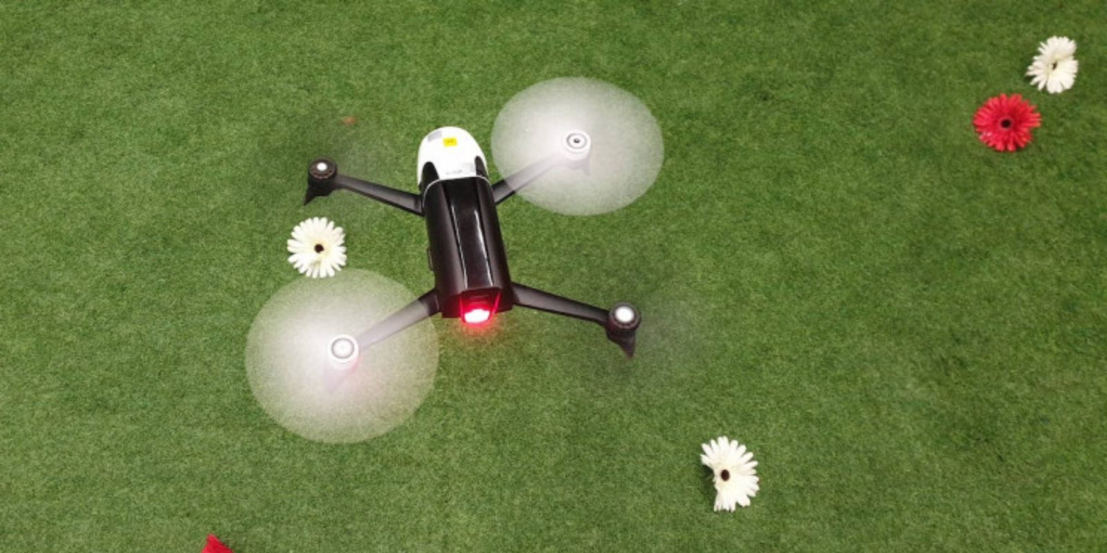 drone insects flight tasks
