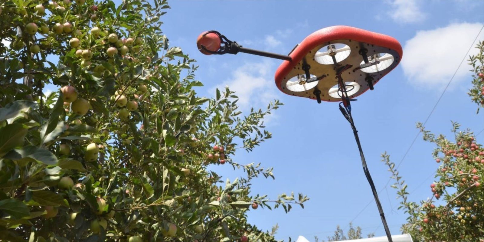 Tevel Technologies fruit-picking drones