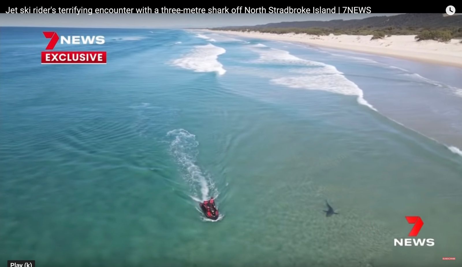 drone footage shark attack
