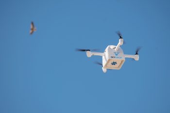 pizza drone delivery