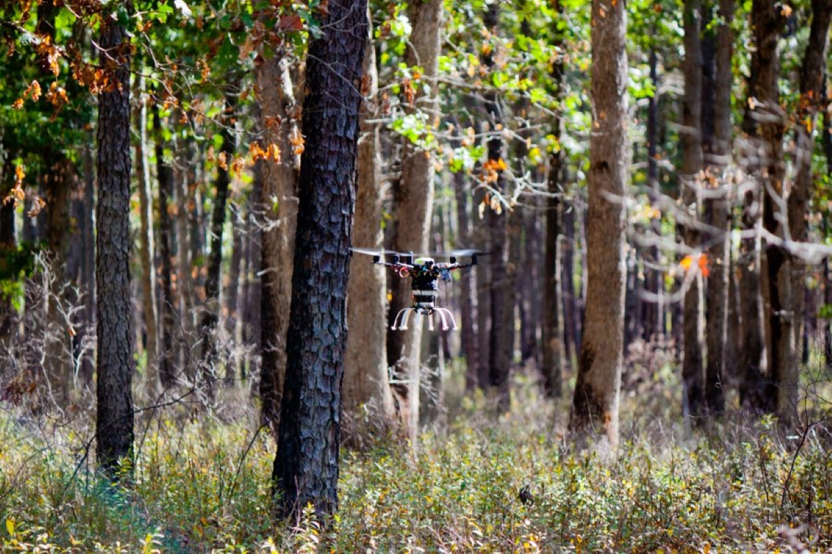 treeswift forest drones