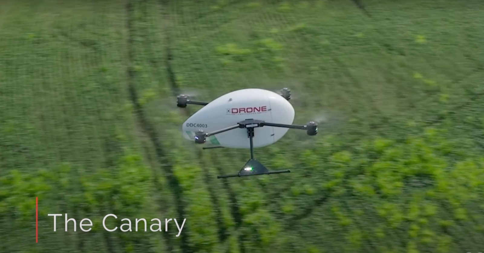 Drone Delivery Canada Canary